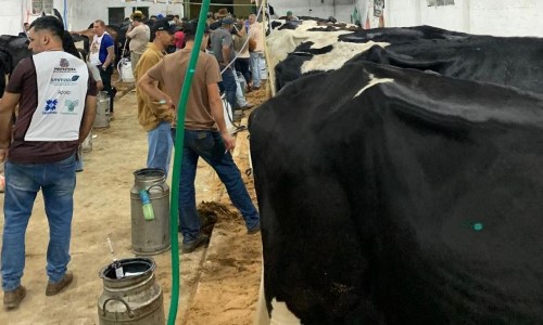 Torneio Leiteiro de Rio Claro será realizado durante a Festa do Peão